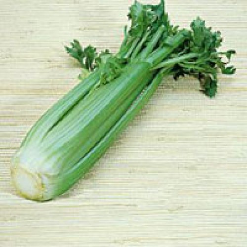 Celery